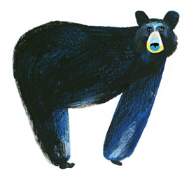 Bear Illustration by Mia November