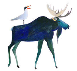 Moose illustration by Mia November
